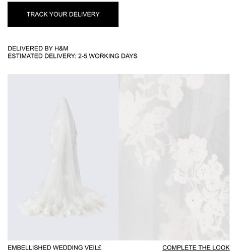 Elie saab embellished - elie, h&m